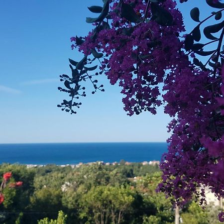 Vila Pogled Petrovac Bagian luar foto