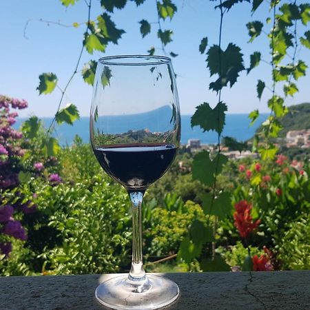 Vila Pogled Petrovac Bagian luar foto