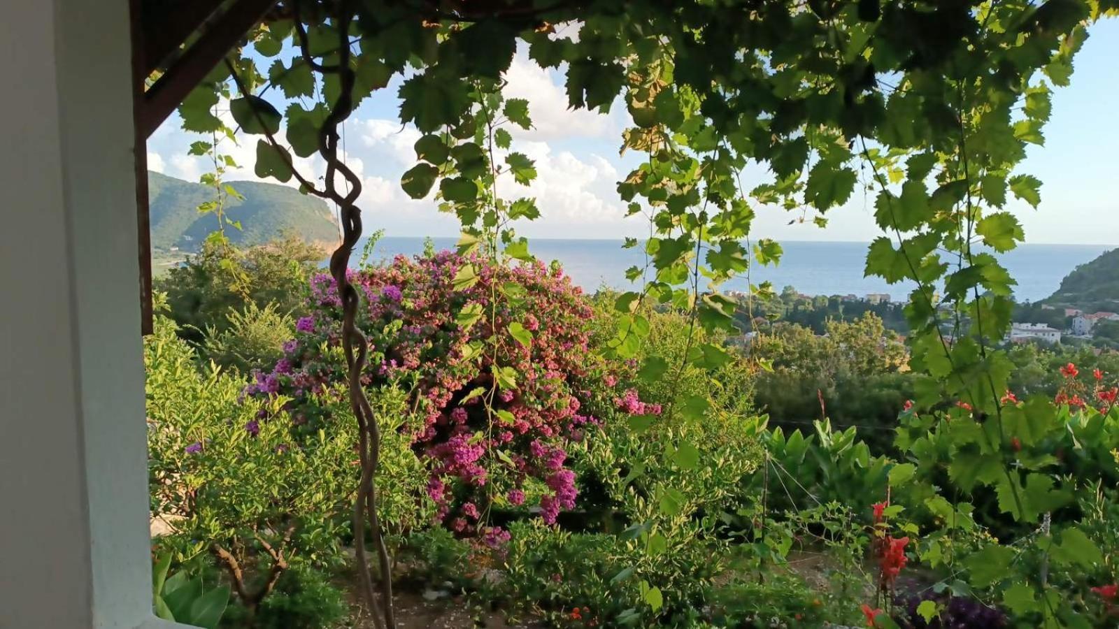 Vila Pogled Petrovac Bagian luar foto