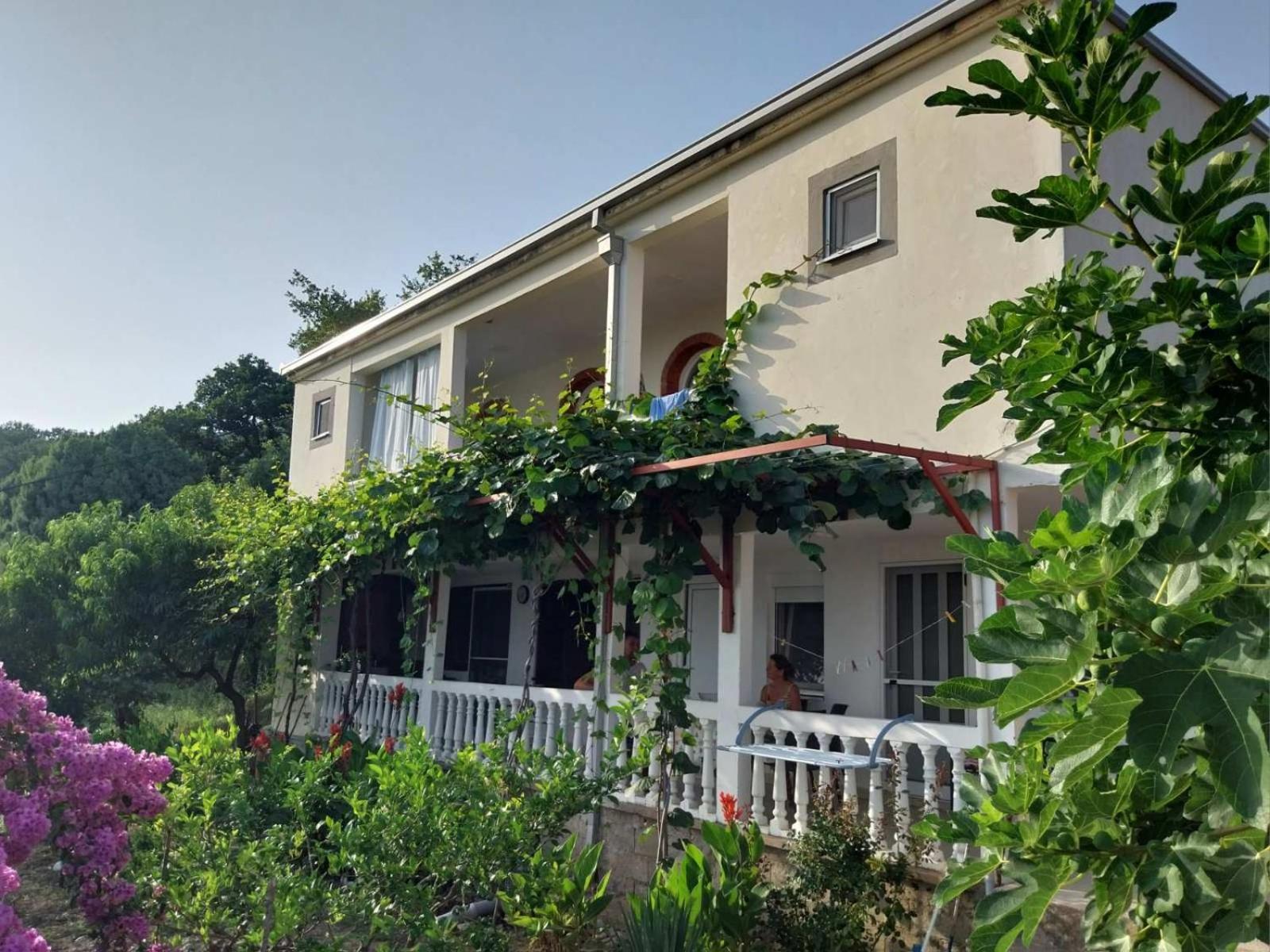 Vila Pogled Petrovac Bagian luar foto