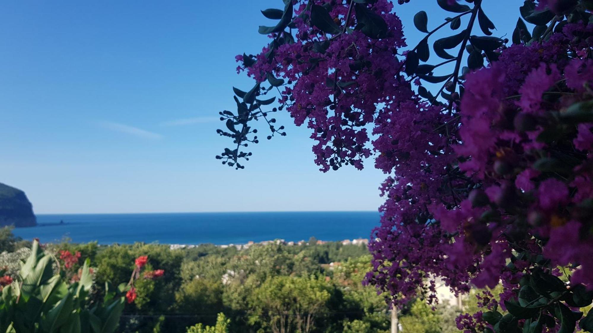 Vila Pogled Petrovac Bagian luar foto