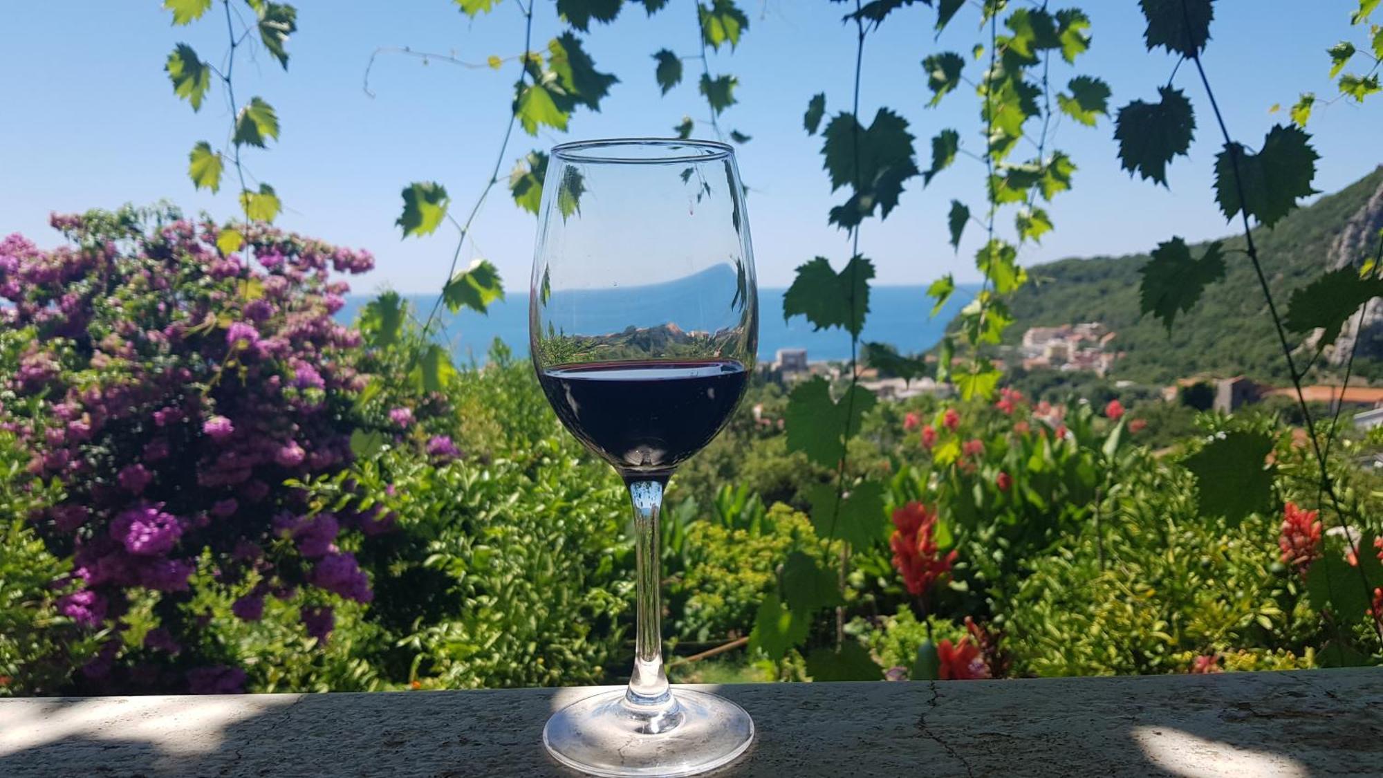 Vila Pogled Petrovac Bagian luar foto