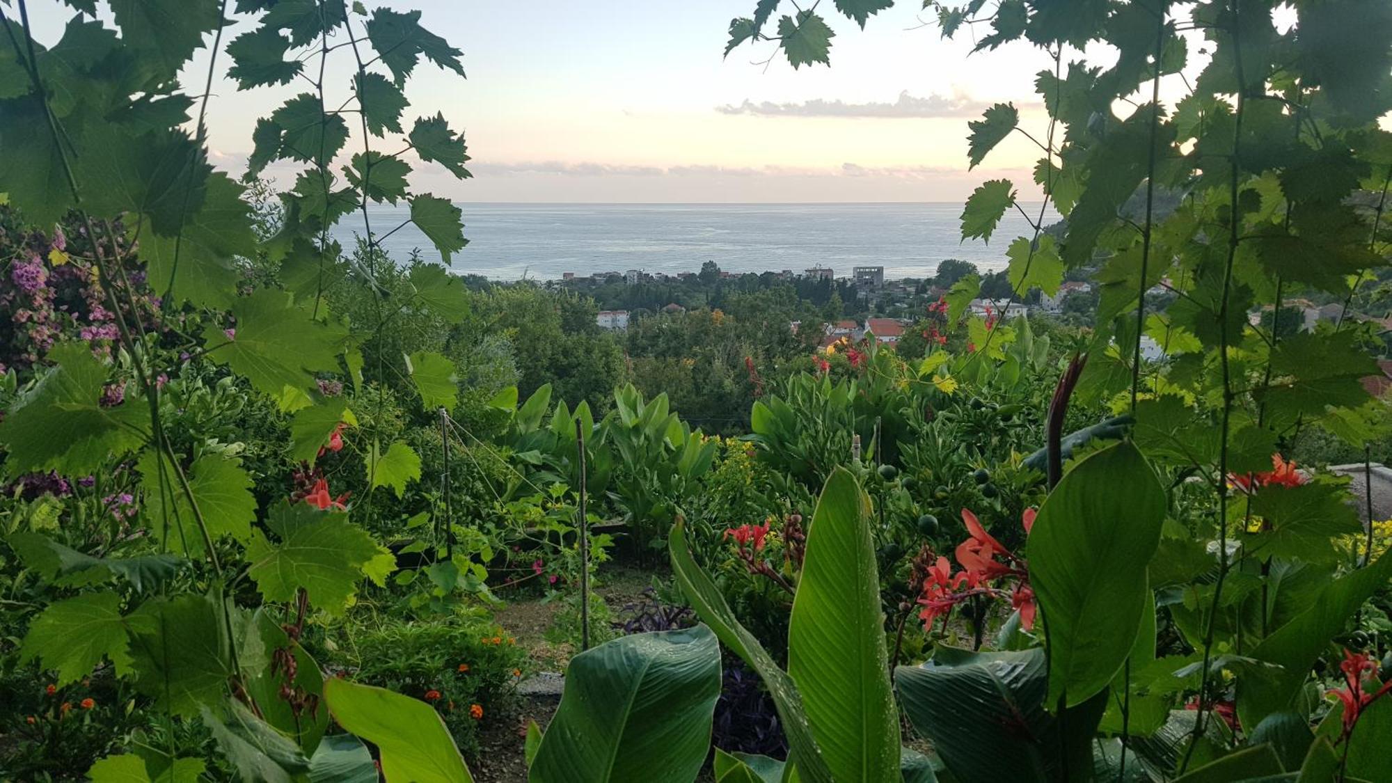 Vila Pogled Petrovac Bagian luar foto