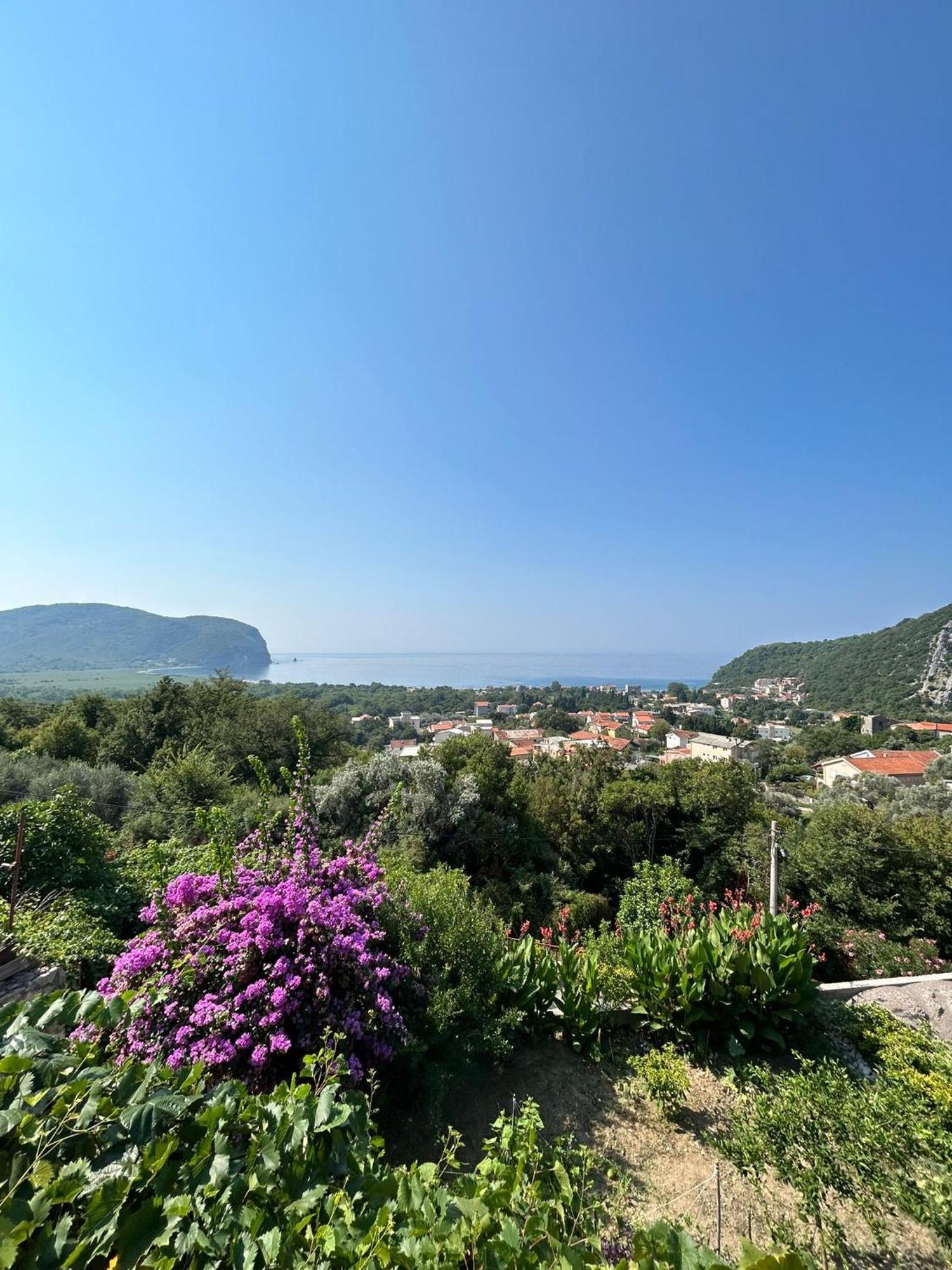 Vila Pogled Petrovac Bagian luar foto
